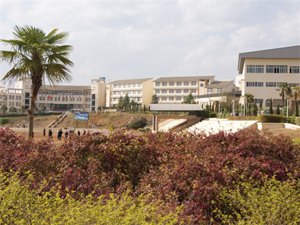 云南新兴职业学院2021年五年一贯制大专/三年制普通中专招生简章(图19)