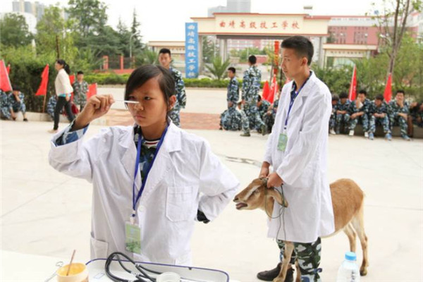 曲靖农业学校2021年五年一贯制大专/三年制普通中专招生简章(图7)