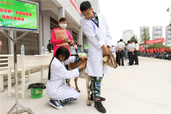 曲靖农业学校2021年五年一贯制大专/三年制普通中专招生简章(图8)