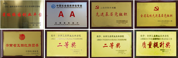 云南三鑫职业技术学院2021年五年一贯制大专/三年制普通中专招生简章(图3)