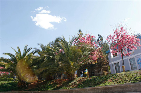 云南省林业高级技工学校2021年招生简章(图6)