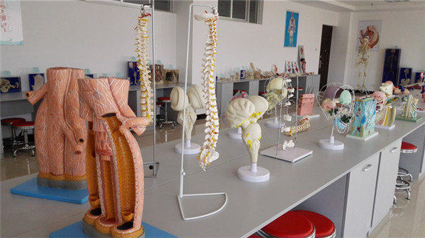 曲靖护理学校2021年三年制普通中专/五年一贯制大专招生简章(图21)