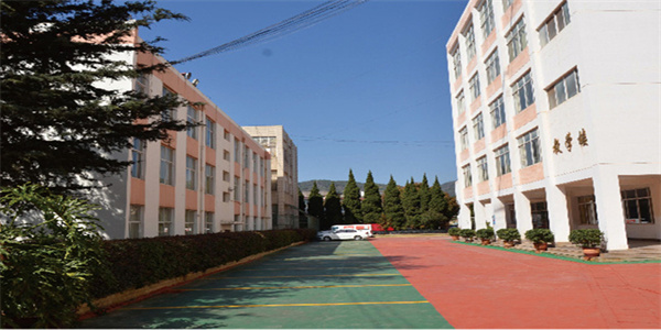 云南中医药中等专业学校招生简章