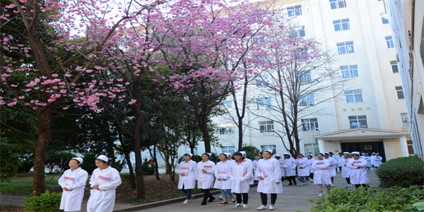 云南中医药中等专业学校招生简章