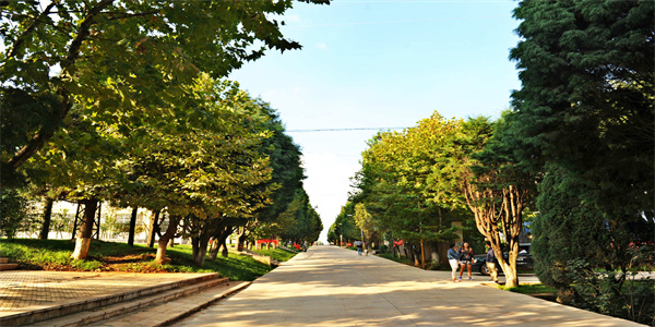 云南农业职业技术学院五年制大专招生简章