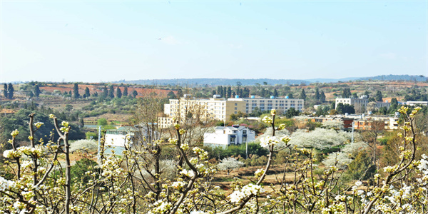 云南农业职业技术学院五年制大专招生简章