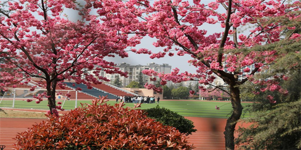 云南能源职业技术学院五年制大专招生简章