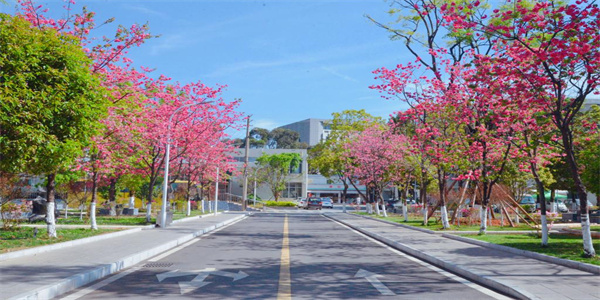 云南体育运动职业技术学院五年制大专招生简章