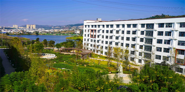 云南三鑫职业技术学院五年制大专招生简章