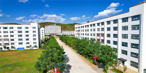 云南三鑫职业技术学院五年制大专招生简章