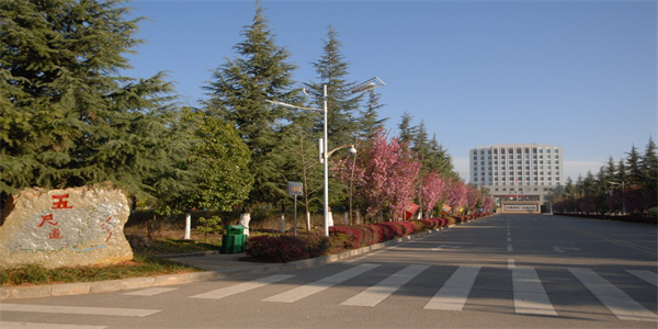 曲靖财经学校招生简章