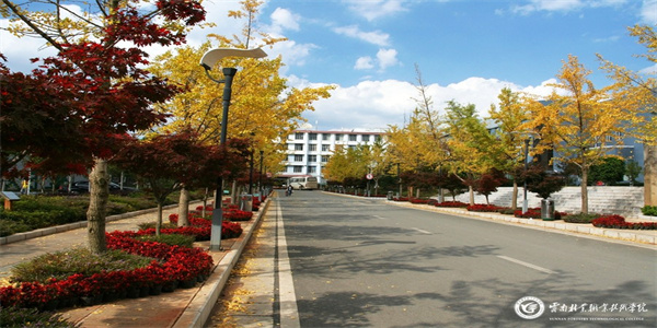 云南林业职业技术学院五年制大专招生简章 云南林业职业技术学院五年制大专招生简章