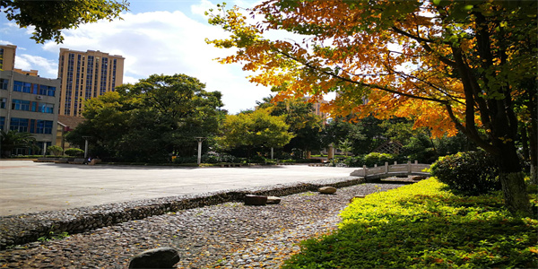 云南旅游职业学院五年制大专招生简章