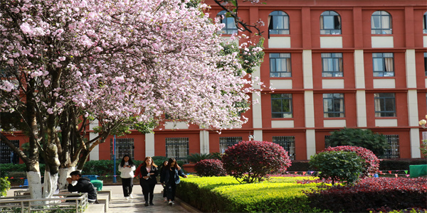 云南旅游职业学院五年制大专招生简章