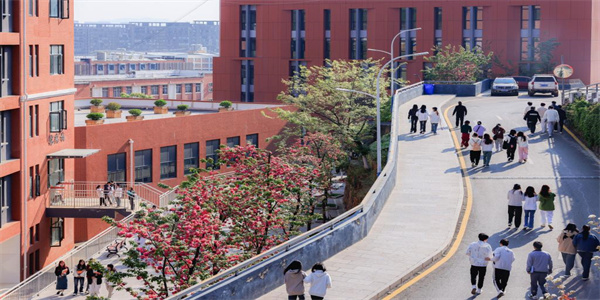 云南财经职业学院五年制大专招生简章