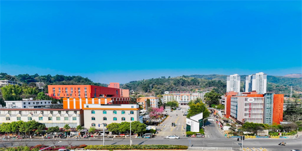 云南财经职业学院五年制大专招生简章