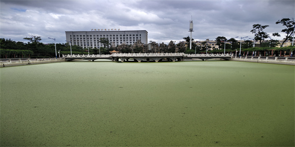 曲靖市麒麟职业技术学校招生简章