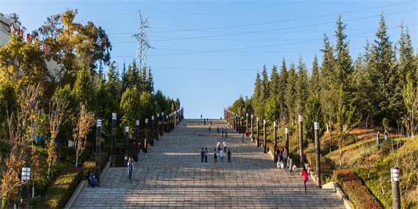 云南技师学院招生简章