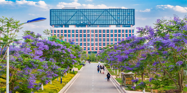 云南理工职业学院五年制大专招生简章