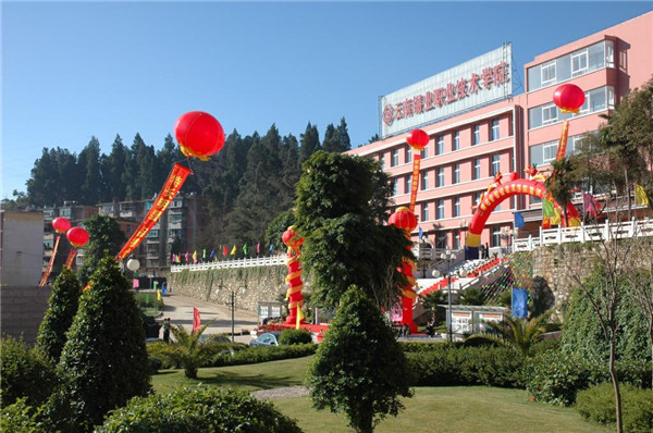 云南锡业职业技术学院2021年五年一贯制大专招生简章