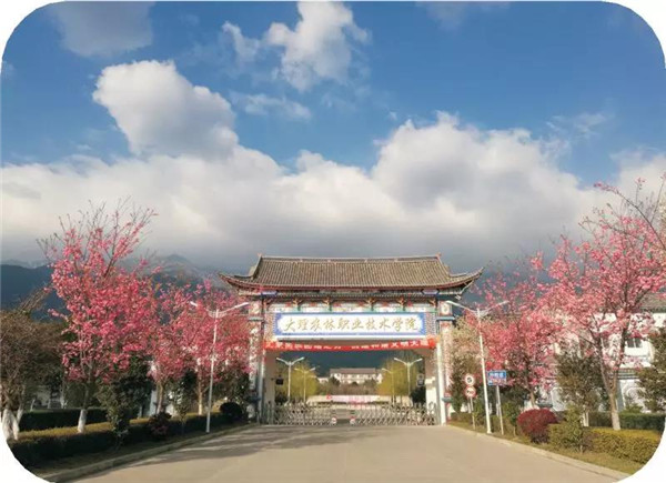 大理农林职业技术学院2021年五年一贯制大专招生简章